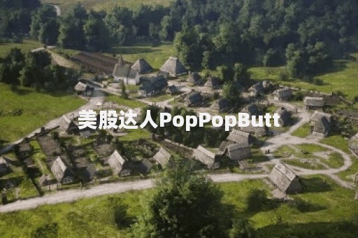 美股达人PopPopButt