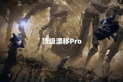 顶级漂移Pro