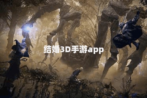 结婚3D手游app