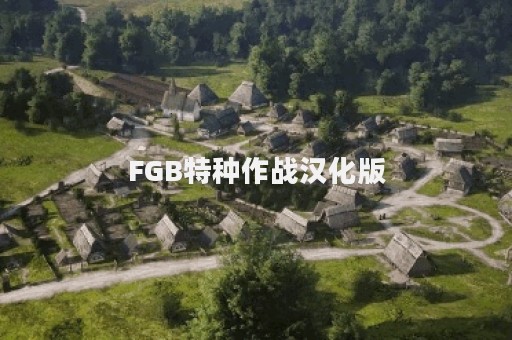 FGB特种作战汉化版