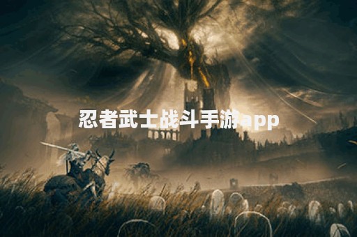 忍者武士战斗手游app