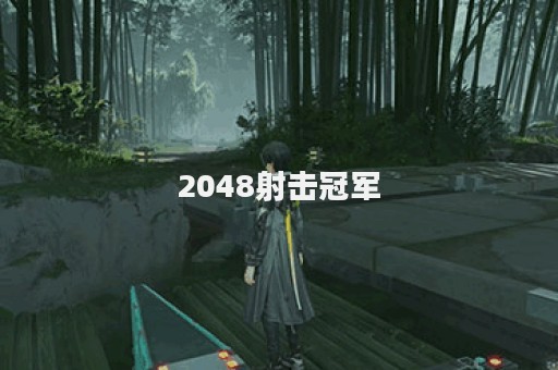 2048射击冠军