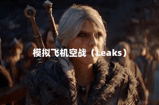 模拟飞机空战（Leaks）