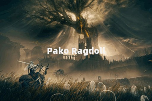 Pako Ragdoll