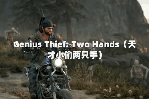 Genius Thief: Two Hands（天才小偷两只手）