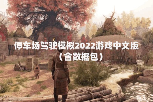 停车场驾驶模拟2022游戏中文版（含数据包）