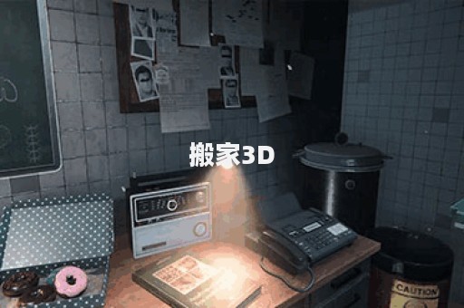 搬家3D