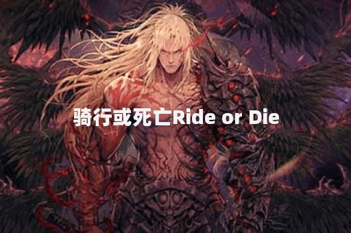 骑行或死亡Ride or Die