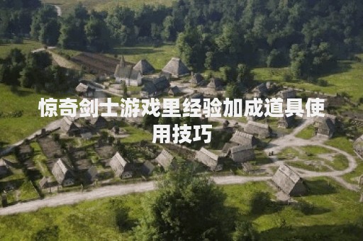 惊奇剑士游戏里经验加成道具使用技巧