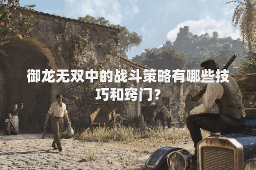 御龙无双中的战斗策略有哪些技巧和窍门？