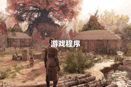 游戏程序