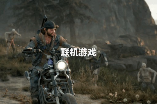 联机游戏