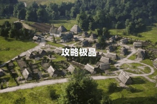 攻略极品