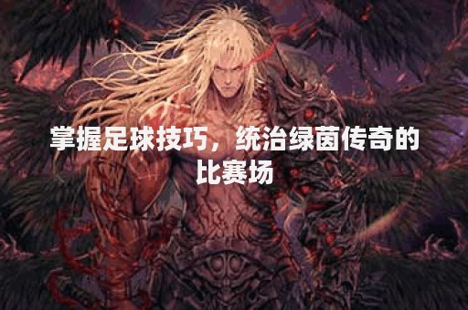掌握足球技巧，统治绿茵传奇的比赛场