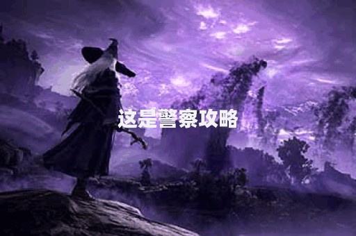 这是警察攻略