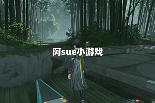 阿sue小游戏