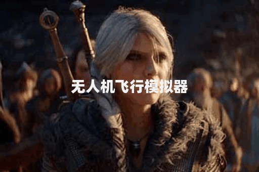 无人机飞行模拟器