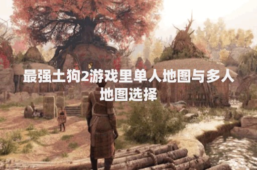 最强土狗2游戏里单人地图与多人地图选择