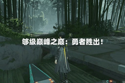 够级巅峰之巅：勇者胜出！
