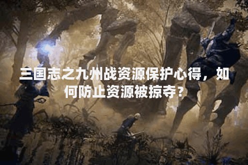 三国志之九州战资源保护心得，如何防止资源被掠夺？