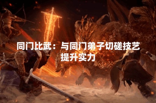 同门比武：与同门弟子切磋技艺提升实力