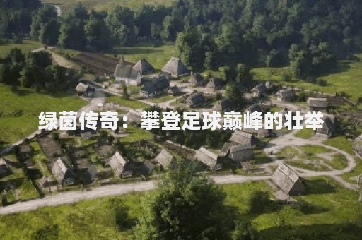 绿茵传奇：攀登足球巅峰的壮举