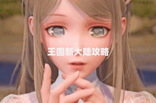王国新大陆攻略