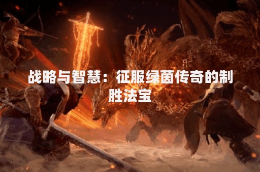 战略与智慧：征服绿茵传奇的制胜法宝
