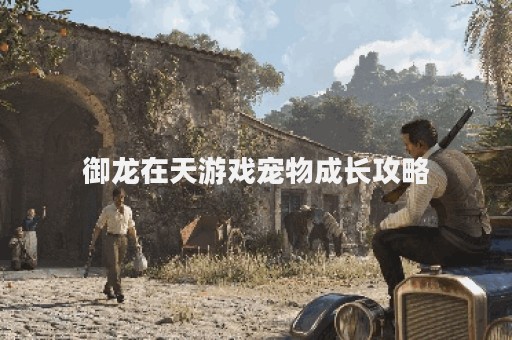御龙在天游戏宠物成长攻略