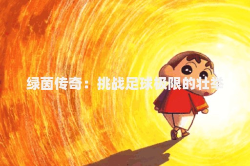 绿茵传奇：挑战足球极限的壮举