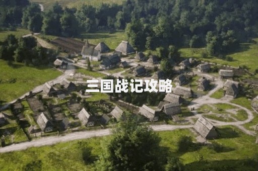 三国战记攻略