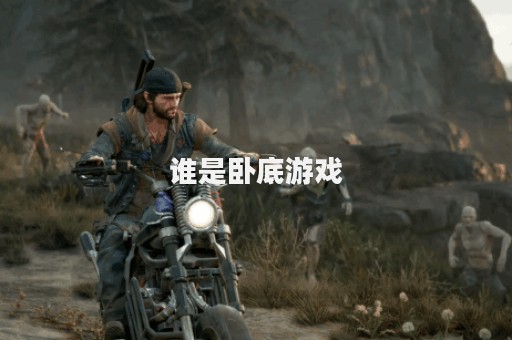 谁是卧底游戏