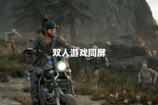 双人游戏同屏