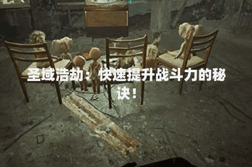 圣域浩劫：快速提升战斗力的秘诀！