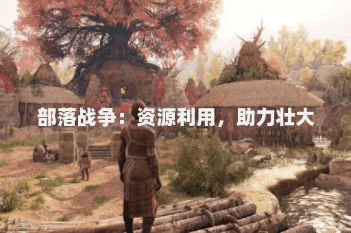 部落战争：资源利用，助力壮大