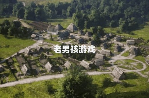 老男孩游戏