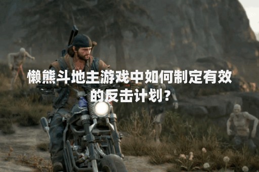 懒熊斗地主游戏中如何制定有效的反击计划？