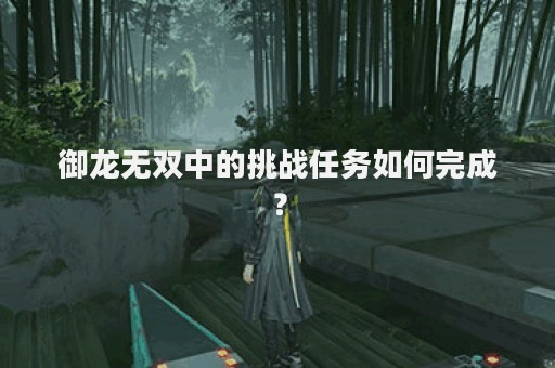 御龙无双中的挑战任务如何完成？