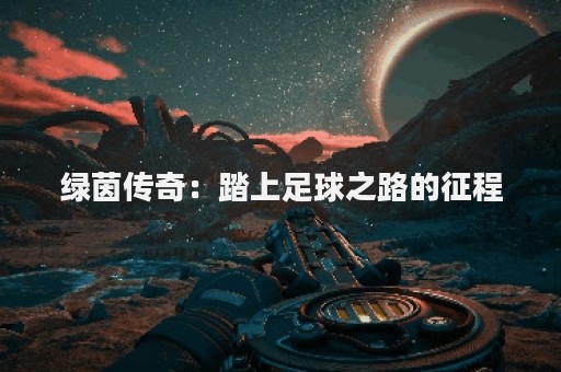 绿茵传奇：踏上足球之路的征程