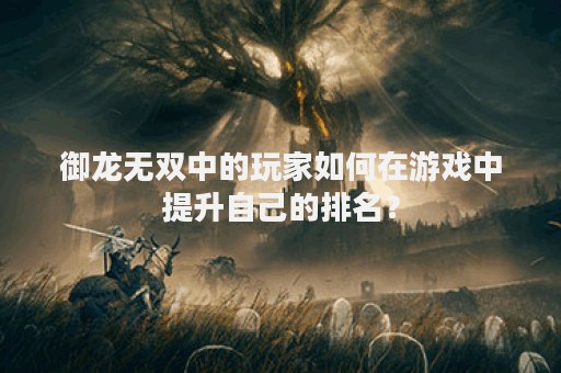 御龙无双中的玩家如何在游戏中提升自己的排名？