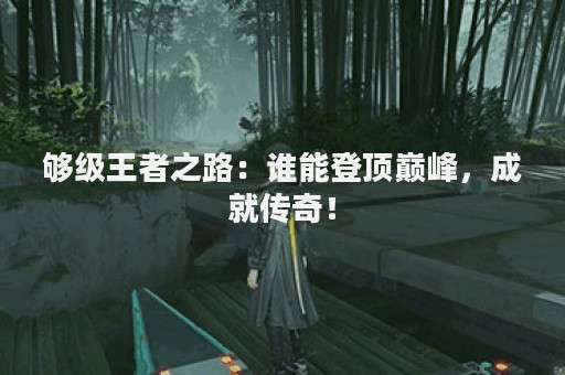够级王者之路：谁能登顶巅峰，成就传奇！