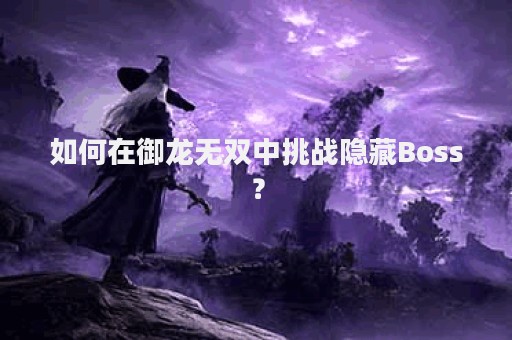 如何在御龙无双中挑战隐藏Boss？