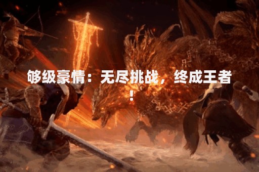 够级豪情：无尽挑战，终成王者！