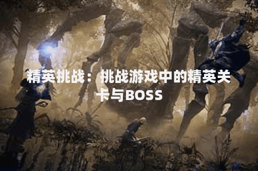 精英挑战：挑战游戏中的精英关卡与BOSS