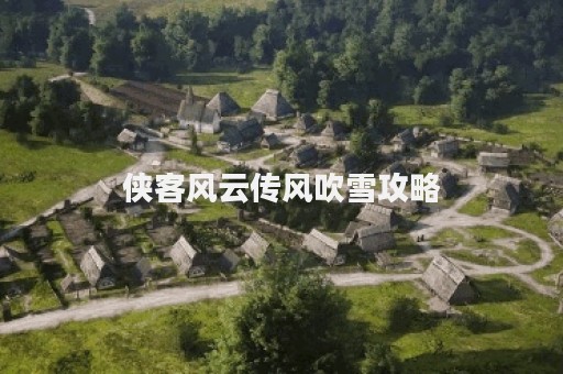 侠客风云传风吹雪攻略