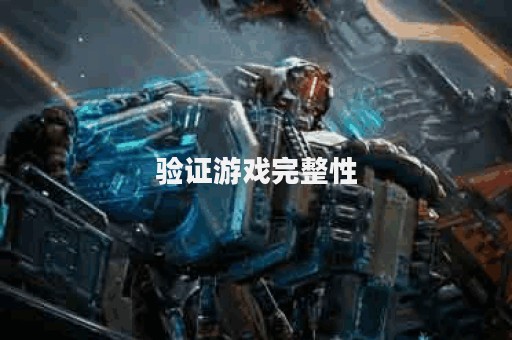 验证游戏完整性