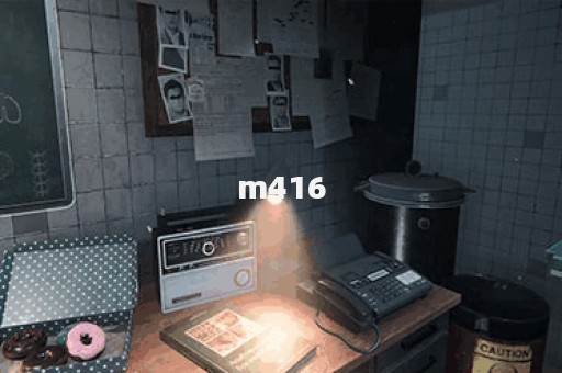 m416图片