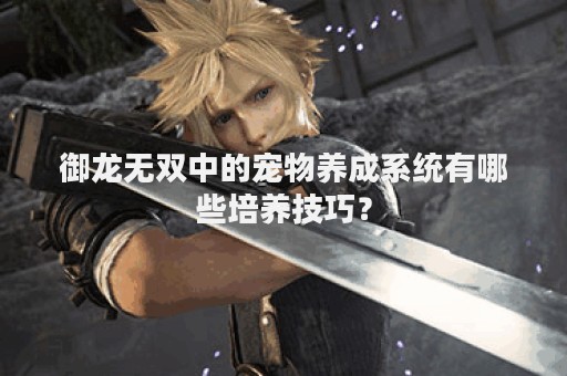 御龙无双中的宠物养成系统有哪些培养技巧？