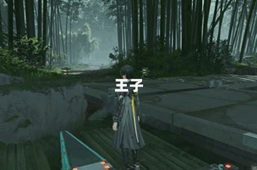 王子图片