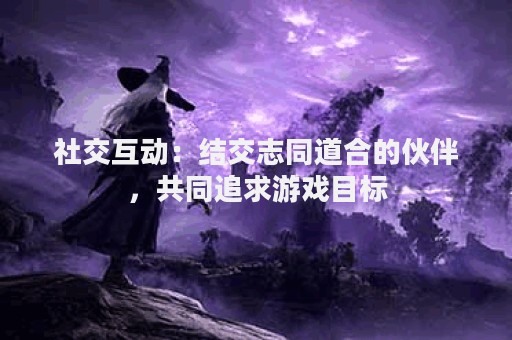 社交互动：结交志同道合的伙伴，共同追求游戏目标
